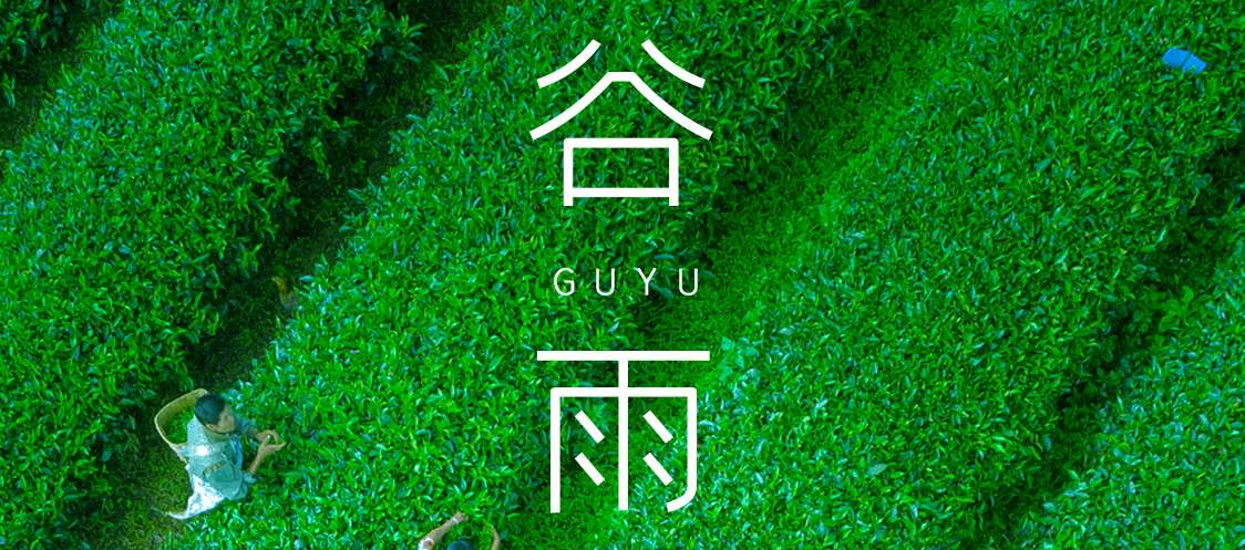 谷雨 |? 春雨淋漓 萬(wàn)物更新
